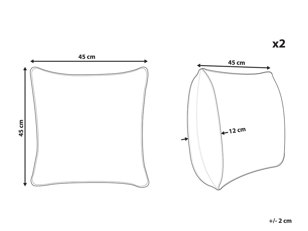 Lot de 2 coussins Velours 45 x 45 cm Vert Doré Motif végétal